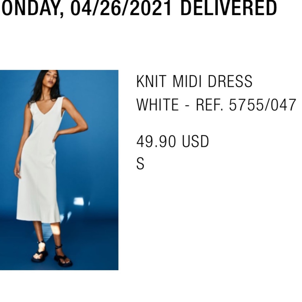 NWOT Zara Dress